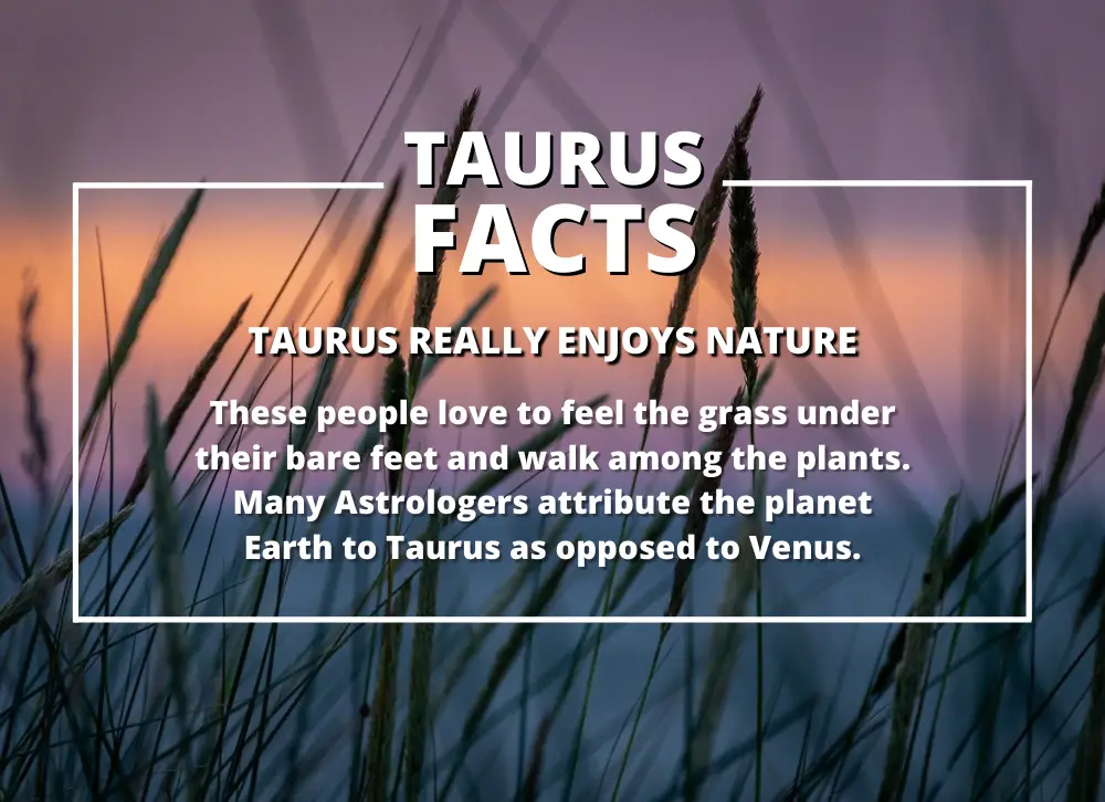 Crazy Facts About Taurus People