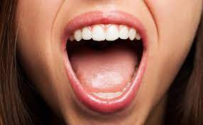 facts about the mouth