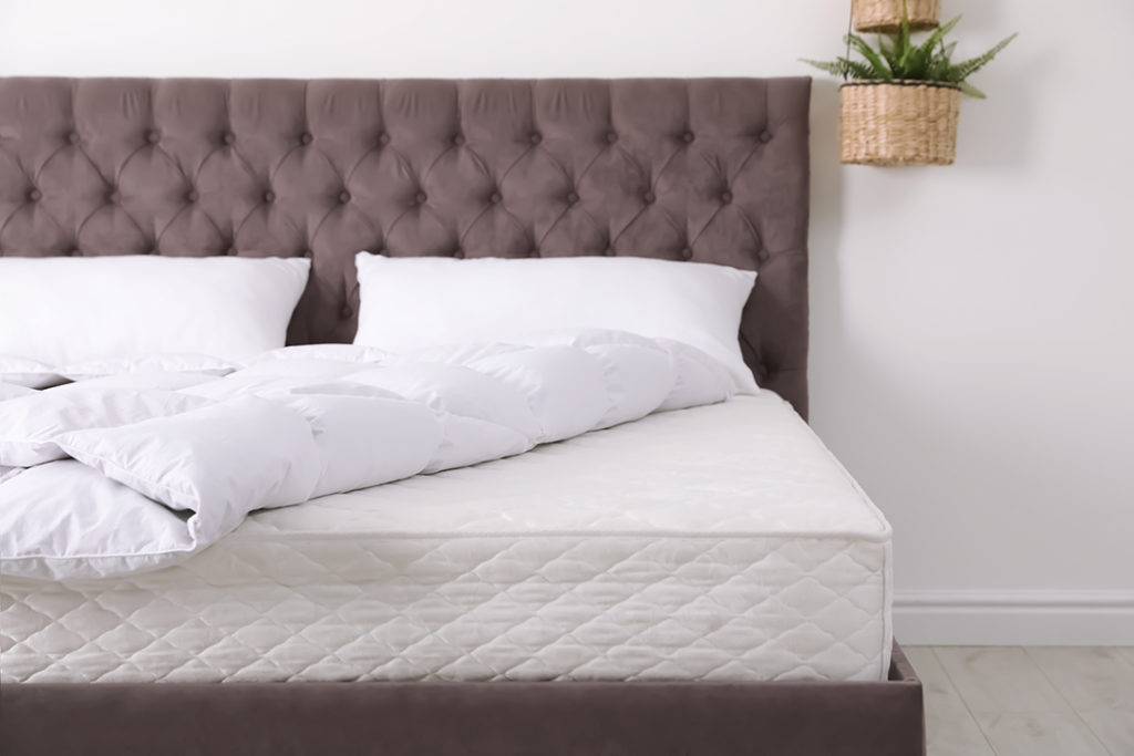 Amazing Facts About Mattresses