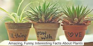 Facts About Parts of Plants