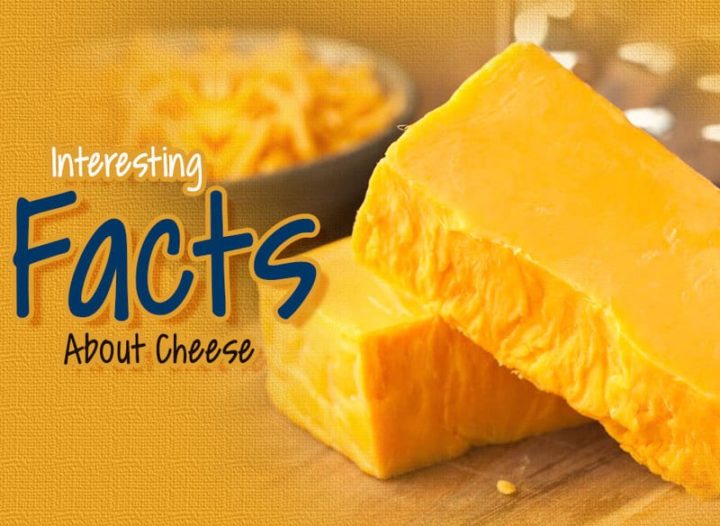 Interesting Facts About Cheese