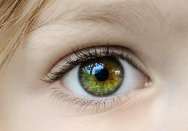 Facts About Hazel Eyes