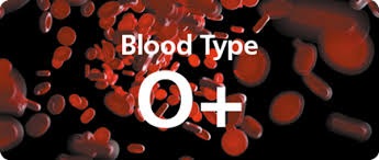 O Positive Blood Type Facts