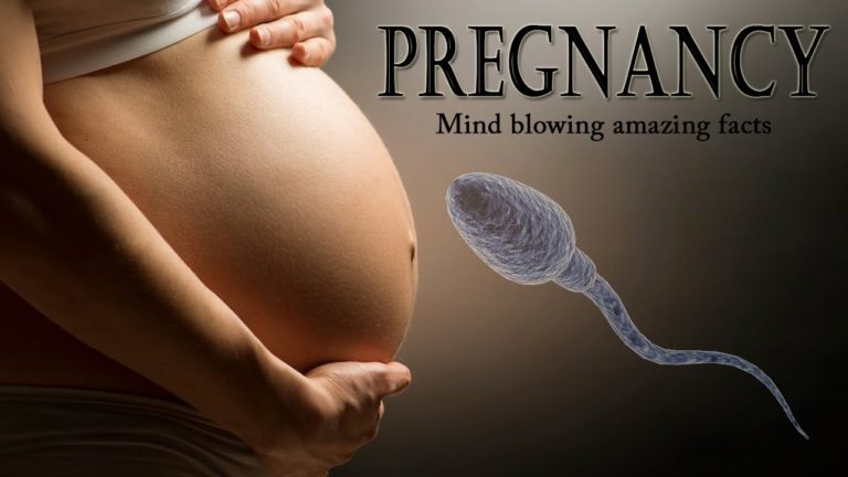 Amazing Pregnancy Facts