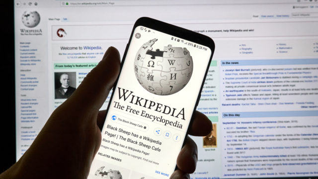 Facts About Wikipedia