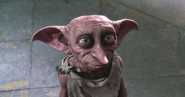 Wonderful Facts About Dobby