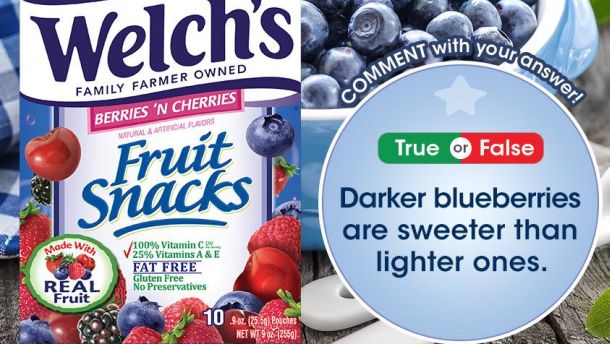 Welchs Fruit Snacks Nutrition Facts