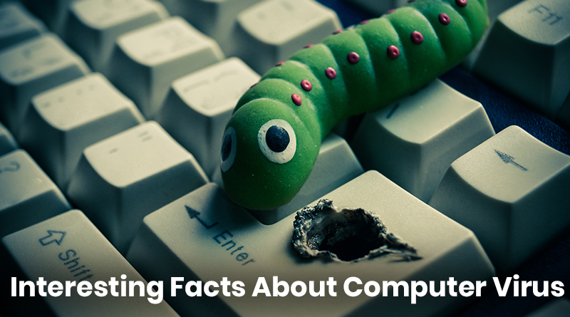 Facts About Computer Viruses