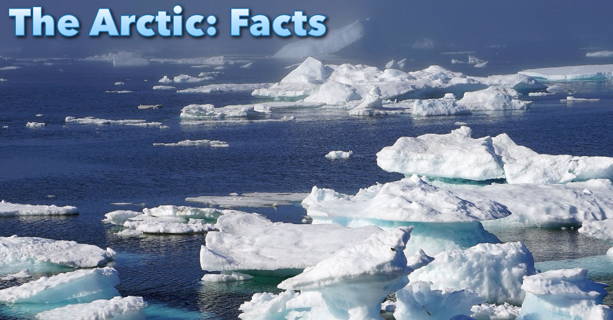 Facts About The Arctic