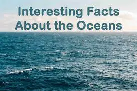 Facts About The Ocean
