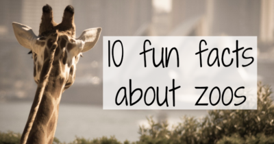 FACTS ABOUT ZOOS