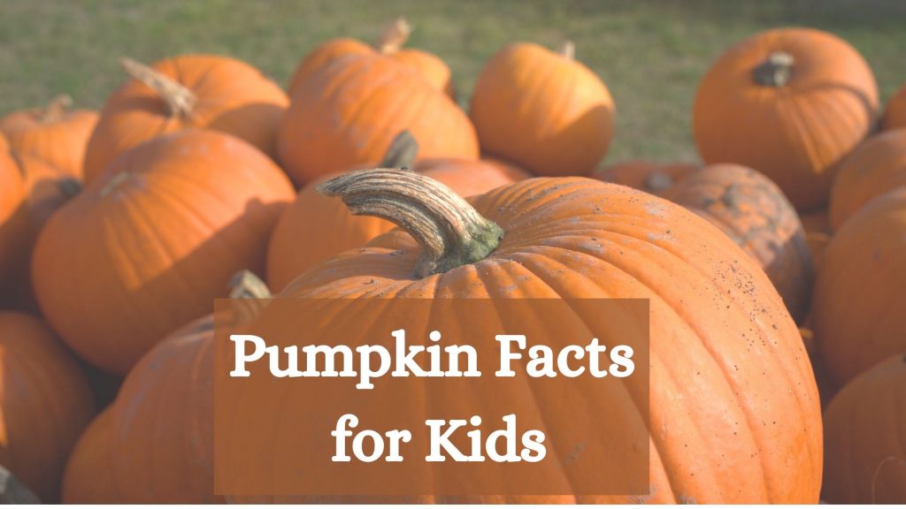 Facts About Pumpkins