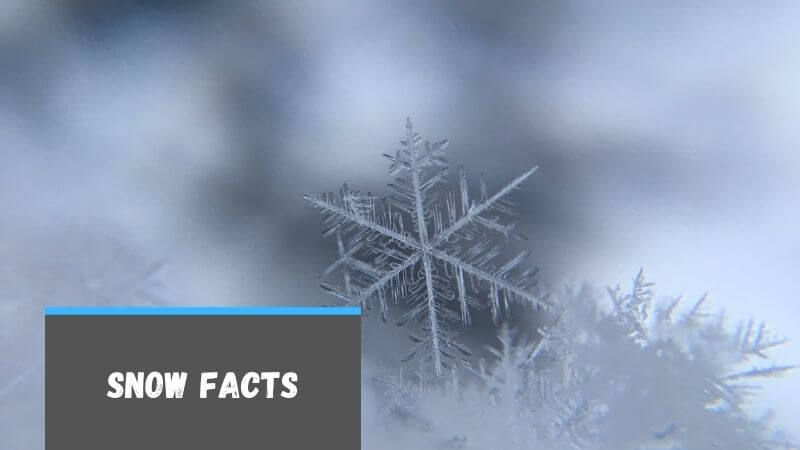 Facts About Snow