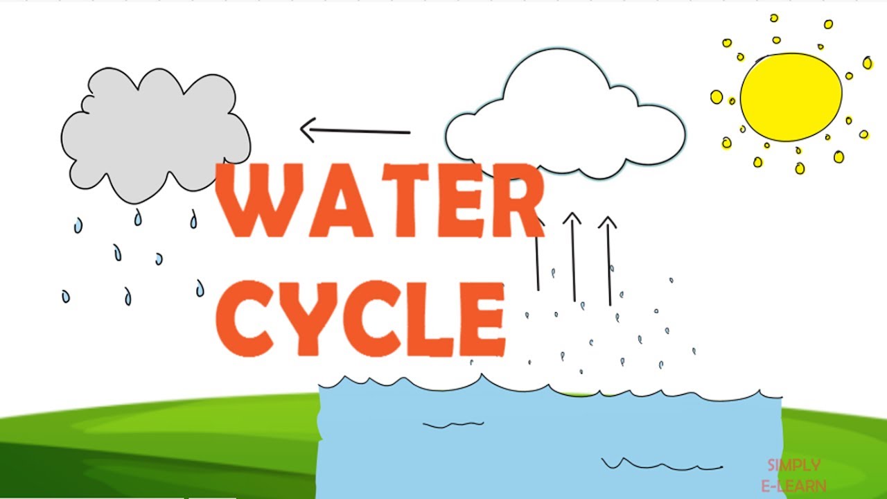 Facts About Water Cycle