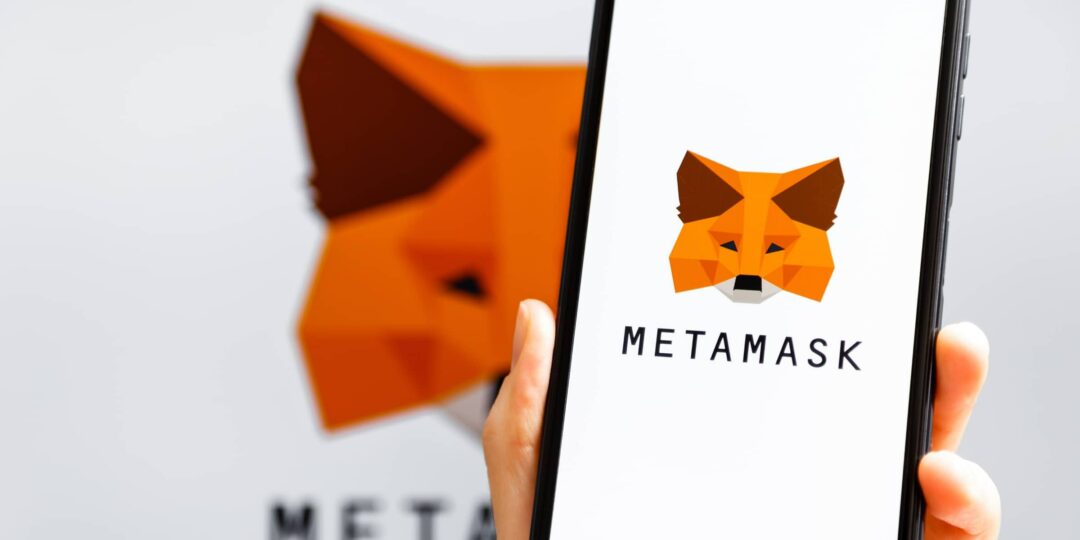 MetaMask Facts | Future Of MetaMask!!