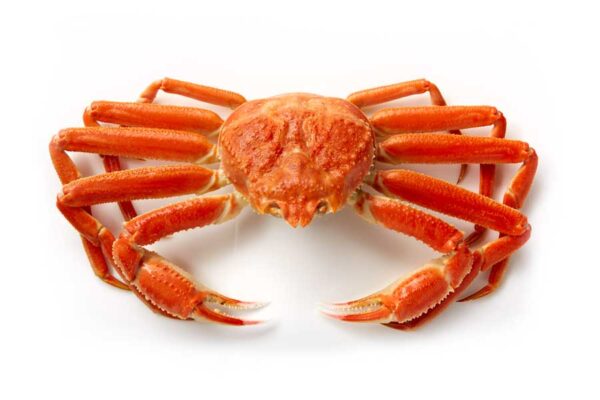 Snow Crab Nutrition Facts