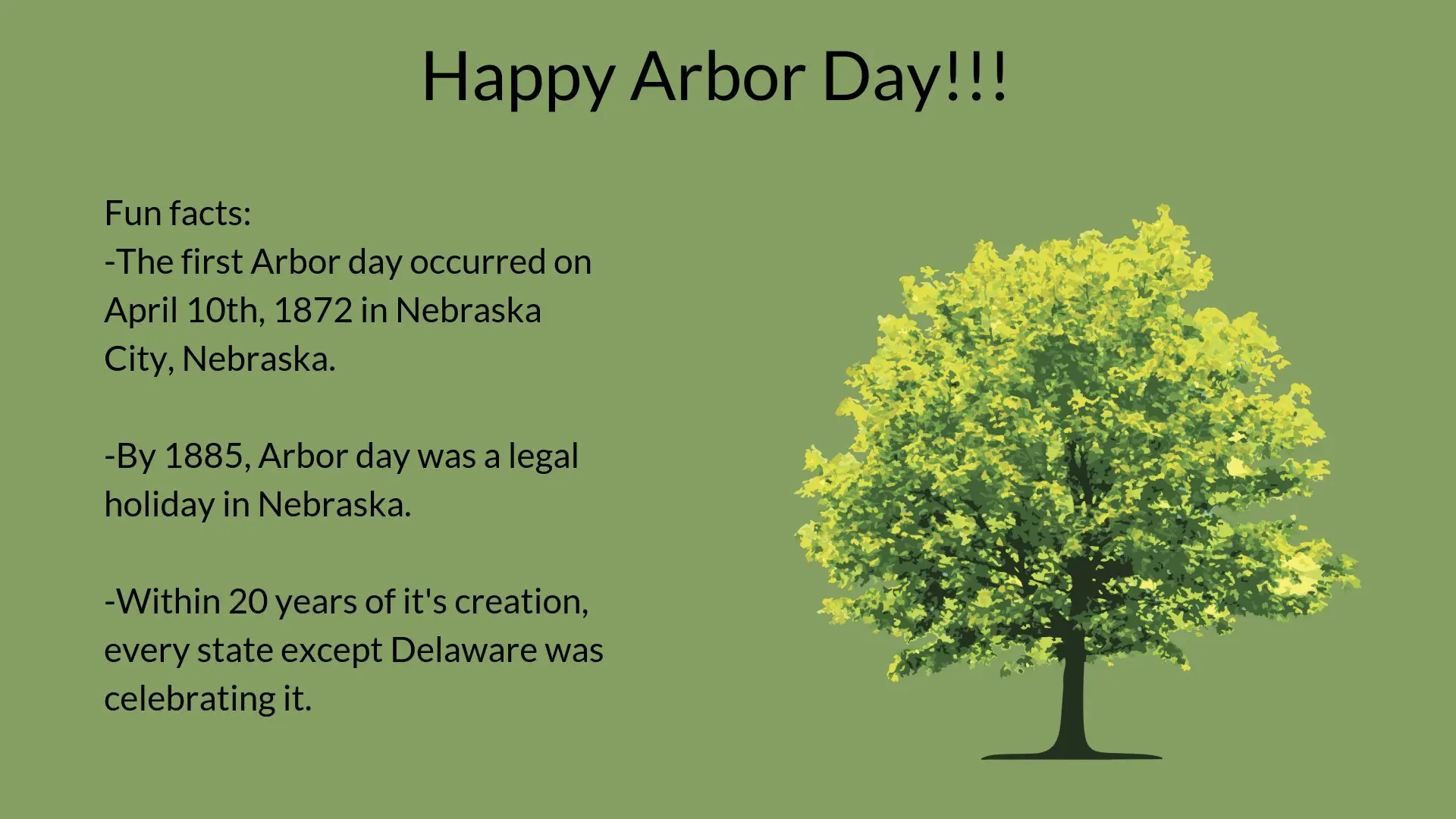 Arbor Day Facts
