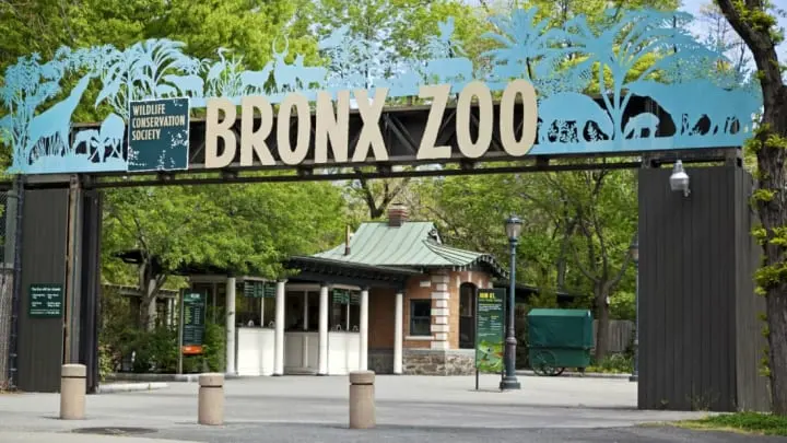Facts About Bronx Zoo