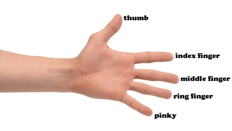 Names Of Fingers And Their Meaning