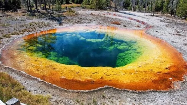 Facts About Yellowstone National Park