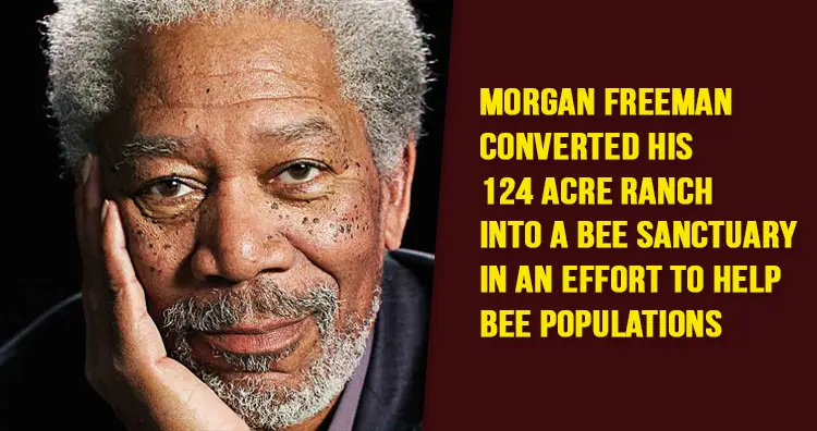 Facts About Morgan Freeman