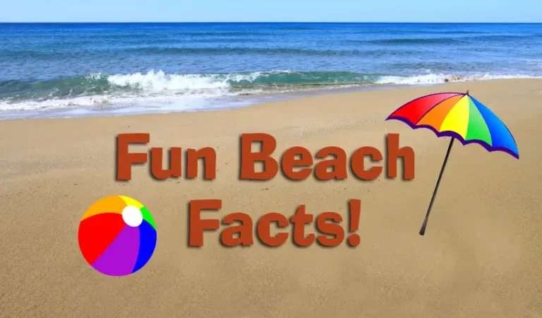 facts about the beach