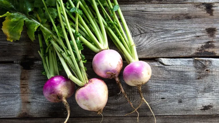 Turnip Nutrition Facts