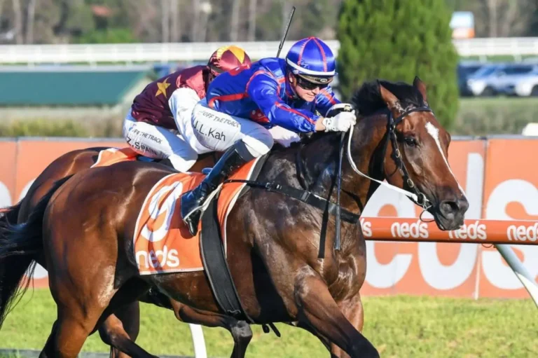 Here is the Ultimate Guide for Stradbroke Handicap Betting